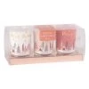 Maisons Du Monde Accessoires De Décoration De Noël 3 Bougies De Noël Parfumées En Verre 3x40g