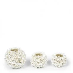 Bazar Bizar Bougeoirs Bougeoir De Coquillage -Bougeoirs Soldes Magasin bougeoir de coquillage 9