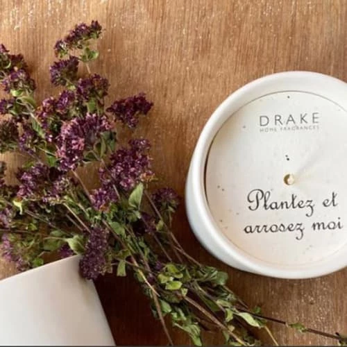 Drake Bougies Bougie 40h Vétiver Et Graines Basilic 5 Drake Bougies Bougie 40h Vétiver Et Graines Basilic – Image 3