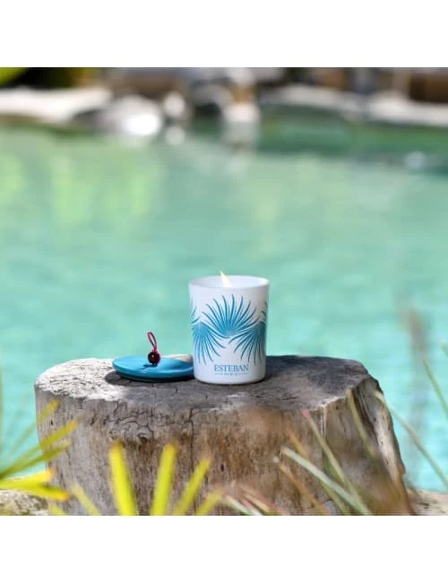 Esteban Bougies Bougie Décorative Parfumée Et Rechargeable Ylang-ylang 4 Esteban Bougies Bougie Décorative Parfumée Et Rechargeable Ylang-ylang – Image 2