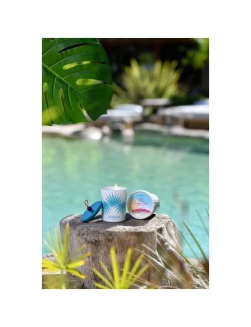 Esteban Bougies Bougie Décorative Parfumée Et Rechargeable Ylang-ylang 5 Esteban Bougies Bougie Décorative Parfumée Et Rechargeable Ylang-ylang – Image 3