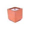 Junny Bougies Bougie En Béton Coloré Orange Fleur Oranger -Bougeoirs Soldes Magasin bougie en beton colore orange fleur oranger