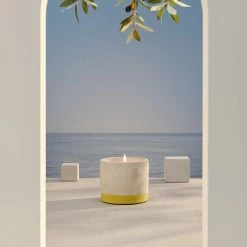 Bougies La Française Bougies Bougie Extérieur Pot Béton 180g Olivier Citronnelle -Bougeoirs Soldes Magasin bougie exterieur pot beton 180g olivier citronnelle 2