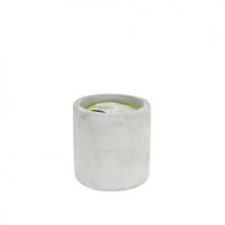 Bougies La Française Bougies Bougie Extérieur Pot Béton 20h Citronnelle