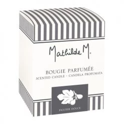 Mathilde M Bougies Bougie Les Intemporels 55 G - Figuier Dolce -Bougeoirs Soldes Magasin bougie les intemporels 55 g figuier dolce 3