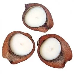 My Bliss Home Bougies Bougie Naturelle En Noix De Coco -Bougeoirs Soldes Magasin bougie naturelle en noix de coco 1