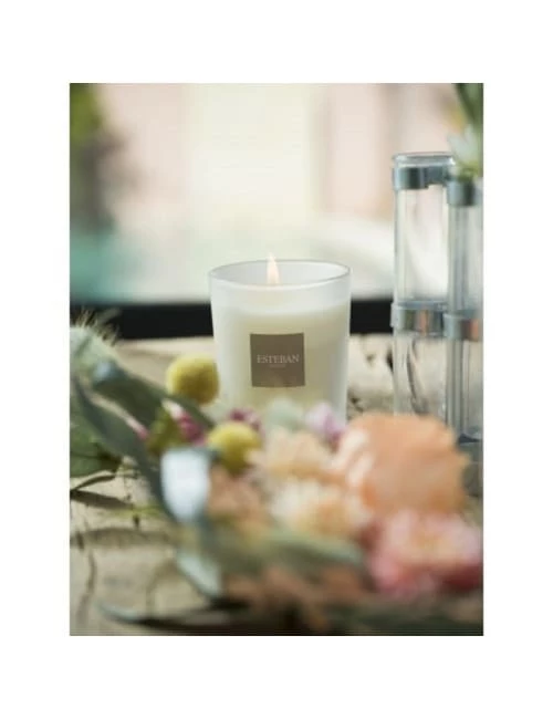 Esteban Bougies Bougie Parfumé Rechargeable Monoï Soleil 180g 4 Esteban Bougies Bougie Parfumé Rechargeable Monoï Soleil 180g – Image 2