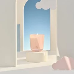 Bougies La Française Bougies Bougie Parfumée 40h Rose Pivoine -Bougeoirs Soldes Magasin bougie parfumee 40h rose pivoine 2