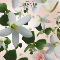 Maison Berger Bougies Bougie Parfumée Clarity Givrée Jasmin Précieux 11 Maison Berger Bougies Bougie Parfumée Clarity Givrée Jasmin Précieux -Bougeoirs Soldes Magasin bougie parfumee clarity givree jasmin precieux 4