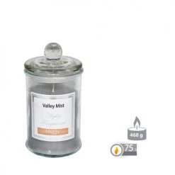 Wadiga Bougies Bougie Parfumée Dans Pot En Verre Brume De La Vallée 9,5x17cm -Bougeoirs Soldes Magasin bougie parfumee dans pot en verre brume de la vallee 9 5x17cm 2
