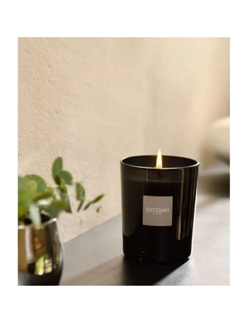 Esteban Bougies Bougie Parfumée Et Rechargeable Ylang-ylang 5 Esteban Bougies Bougie Parfumée Et Rechargeable Ylang-ylang – Image 3