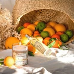 Durance Bougies Bougie Parfumée Mandarine Bergamote -Bougeoirs Soldes Magasin bougie parfumee mandarine bergamote 1