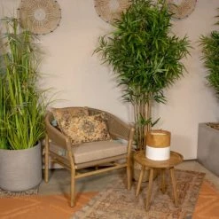 Pirouette Paris Bougies Bougie Pot En Teck Blanc D40 -Bougeoirs Soldes Magasin bougie pot en teck blanc d40 5