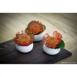 Gone's Bougeoirs Lot De 3 Photophores En Béton Tokyo Grey -Bougeoirs Soldes Magasin lot de 3 photophores en beton tokyo grey 3